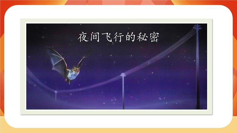 06《夜间飞行的秘密》第2课时 课件+教案+课时测评+导学案设计02