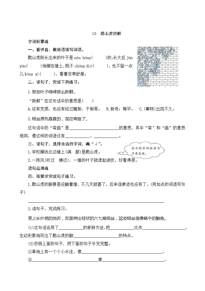 10《爬山虎的脚》课时测评第1页
