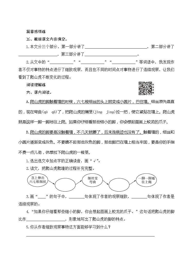10《爬山虎的脚》课时测评第2页