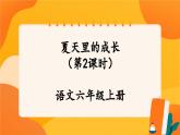 16《夏天里的成長(zhǎng)》第2課時(shí) 課件+教案+課時(shí)測(cè)評(píng)+導(dǎo)學(xué)案設(shè)計(jì)