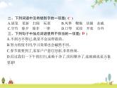 人教版小学语文六年级下册第1单元1北京的春节教学课件