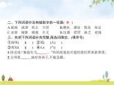 人教版小学语文六年级下册第2单元5鲁滨逊漂流记(节选)教学课件