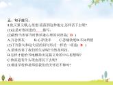 人教版小学语文六年级下册第2单元5鲁滨逊漂流记(节选)教学课件