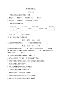 人教版小学语文六年级下册阶段演练3含答案