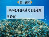 新部编版三年级语文上册《富饶的西沙群岛》课件ppt