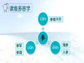 新部编版三年级语文上册《富饶的西沙群岛》课件ppt