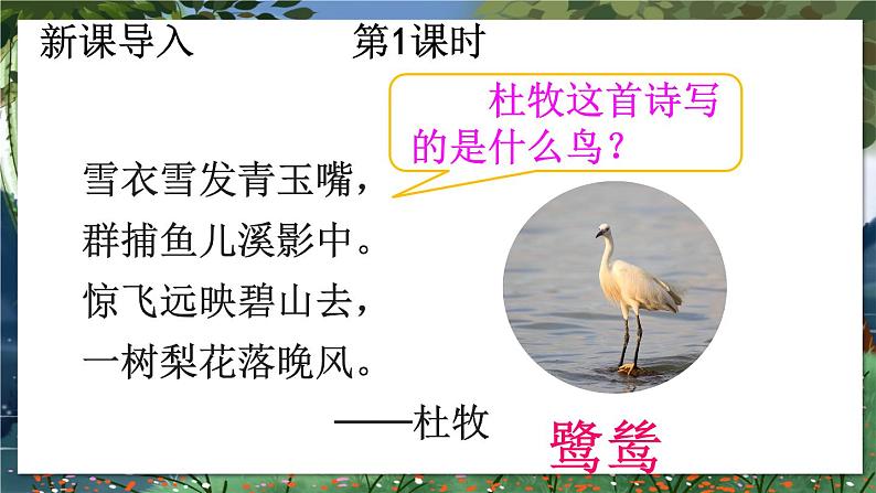 部编版语文5年级上册 第1单元 1 白鹭 PPT课件03