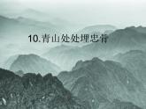 10.青山处处埋忠骨课件PPT
