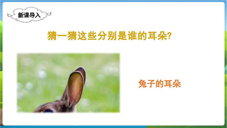 人教语文2年级下册 第7单元 19 大象的耳朵 PPT课件+教案等素材01