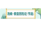 7《汤姆 索亚历险记（节选）》-部编版小学语文六年级下册课件PPT