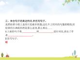 人教版小学语文五年级下册第1单元语文园地一教学课件