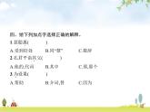 人教版小学语文五年级下册第8单元21杨氏之子教学课件