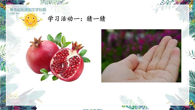 3《植物妈妈有办法》第一课时（课件）部编版语文二年级上册03