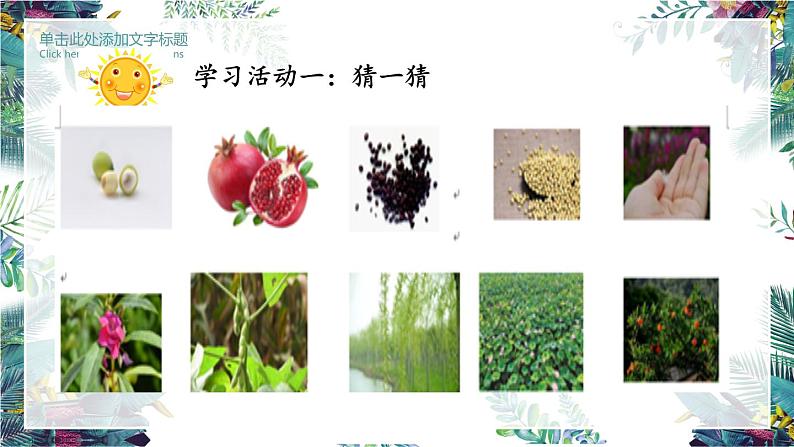 3《植物妈妈有办法》第一课时（课件）部编版语文二年级上册04