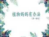 3《植物妈妈有办法》第一课时（课件）部编版语文二年级上册