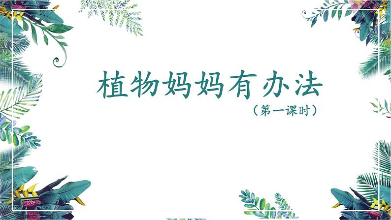 3《植物妈妈有办法》第一课时（课件）部编版语文二年级上册05