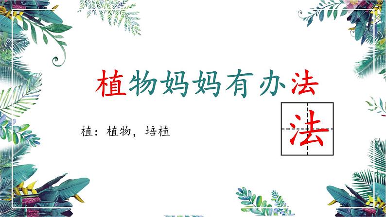 3《植物妈妈有办法》第一课时（课件）部编版语文二年级上册06