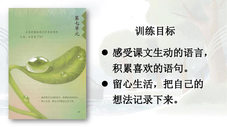 【最新】部编版三年级语文上册第21课《大自然的声音》精品课件02