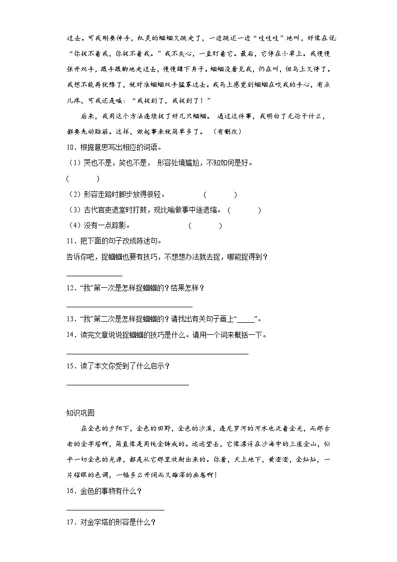 部编版语文五年级下册期末综合复习题（一）03