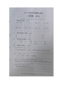 广西钦州市钦南区2022-2023学年六年级上学期期末考试语文试卷