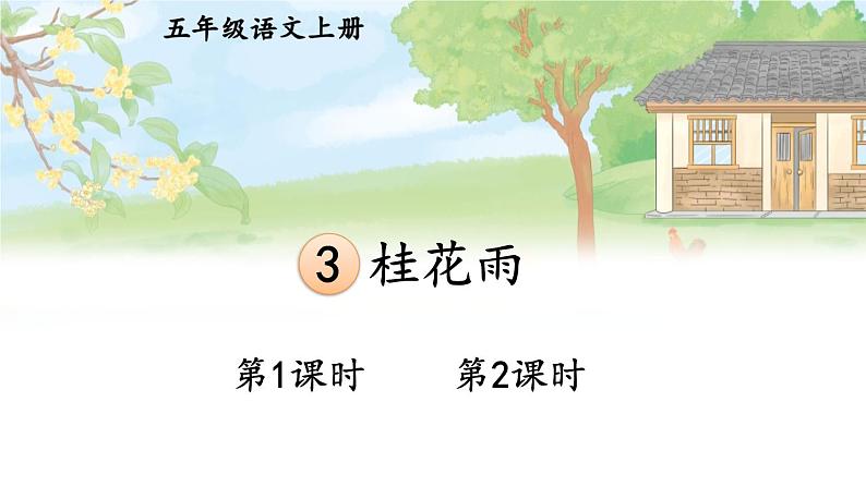 3 桂花雨 课件-部编版语文五年级上册第1页