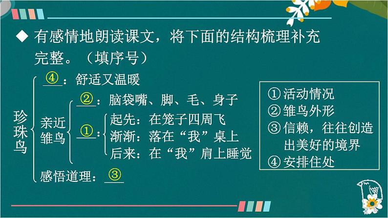 4 珍珠鸟 课件-部编版语文五年级上册第4页