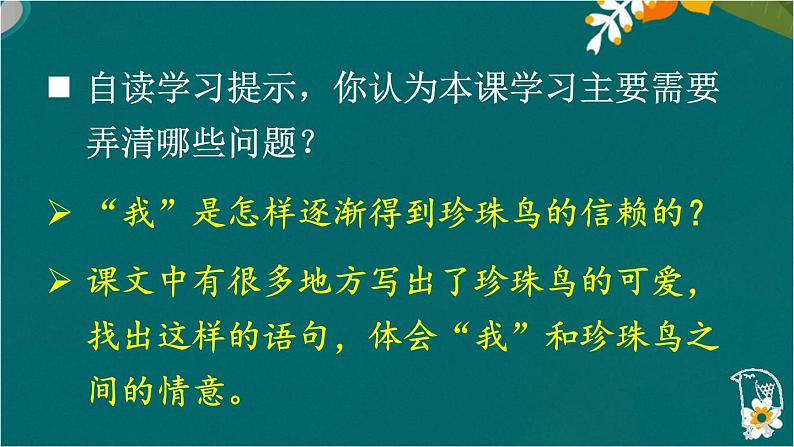 4 珍珠鸟 课件-部编版语文五年级上册第5页