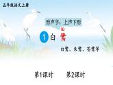 1 白鹭 课件-部编版语文五年级上册