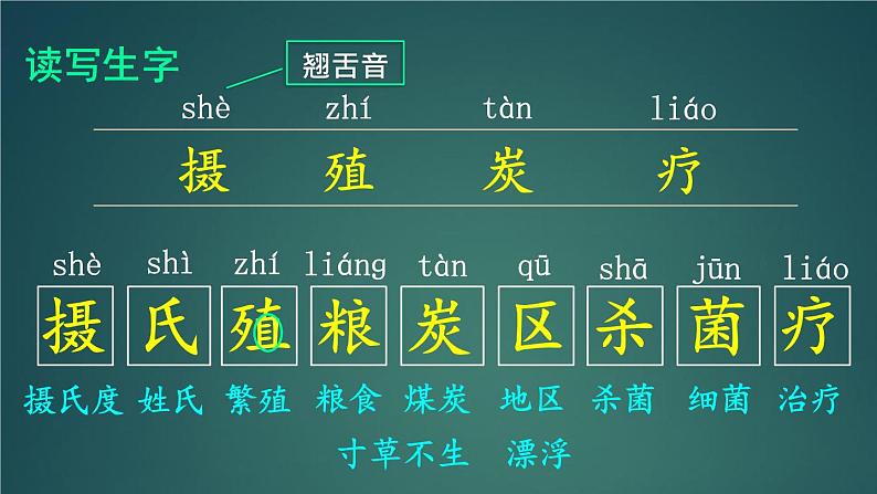 16 太阳 课件-部编版语文五年级上册第4页