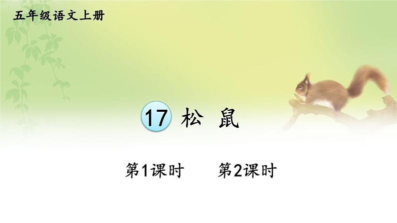 17 松鼠 课件-部编版语文五年级上册01