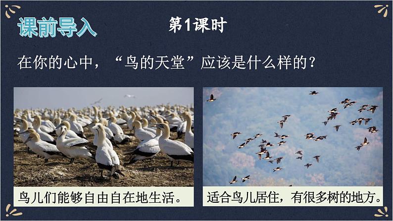 23 鸟的天堂 课件-部编版语文五年级上册第2页