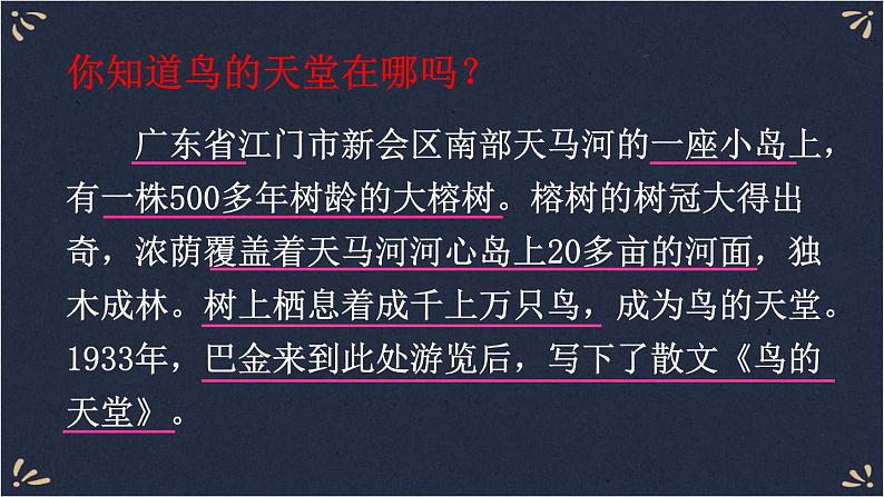 23 鸟的天堂 课件-部编版语文五年级上册第3页