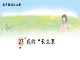 27 我的“长生果” 课件-部编版语文五年级上册