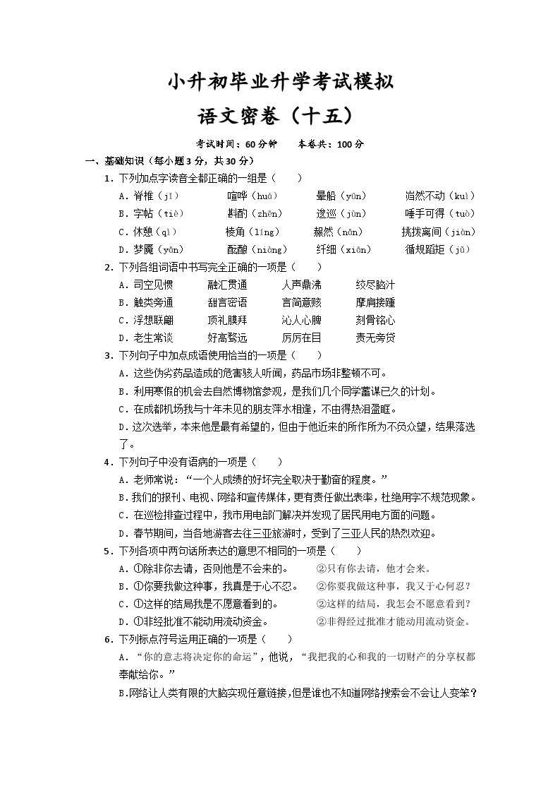 2023年四川省成都市小升初毕业升学考试模拟语文（十五）试卷01