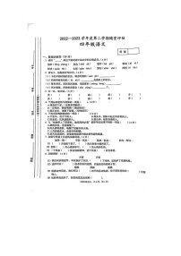 河南省许昌市鄢陵县晋庄小学2022-2023学年四年级下学期期中语文试题