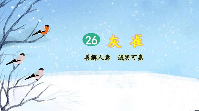 部编版小学三年级语文上册第26课《灰雀》优质课件01