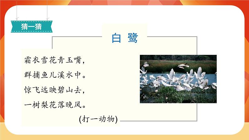 01《白鹭》第1课时 课件+教案+导学案设计02