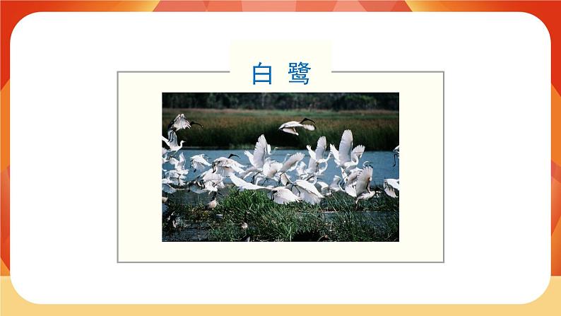01《白鹭》第2课时 课件+教案+课时测评+导学案设计02