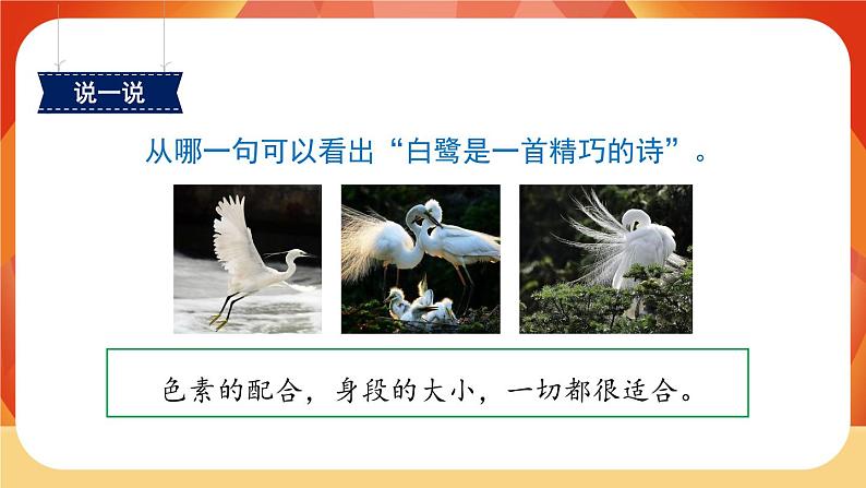01《白鹭》第2课时 课件+教案+课时测评+导学案设计04