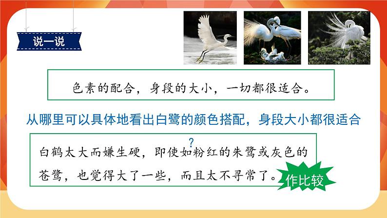 01《白鹭》第2课时 课件+教案+课时测评+导学案设计06