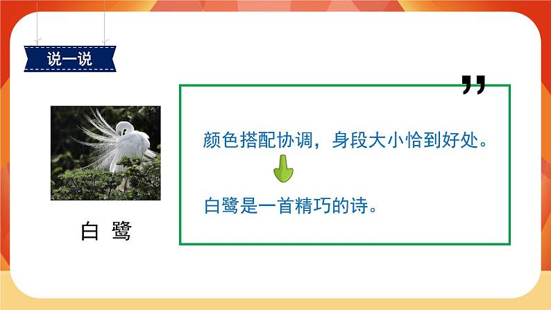 01《白鹭》第2课时 课件+教案+课时测评+导学案设计07