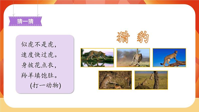 07《什么比猎豹的速度更快》第1课时 课件+教案+导学案设计02