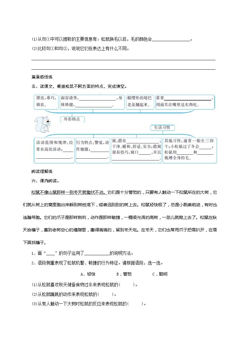 17《松鼠》第2课时 课件+教案+课时测评+导学案设计02