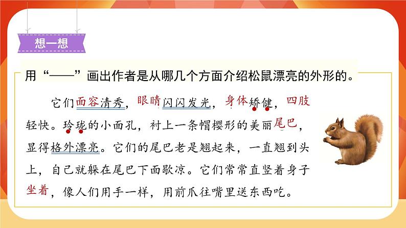 17《松鼠》第2课时 课件+教案+课时测评+导学案设计05