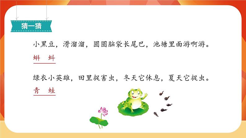 1《小蝌蚪找妈妈》第1课时 课件+教案+导学案设计02