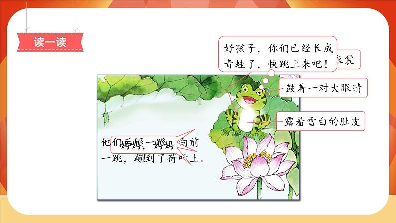 1《小蝌蚪找妈妈》第2课时 课件第6页