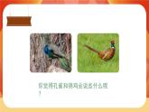 識字3《拍手歌》第2課時 課件+教案+導(dǎo)學(xué)案設(shè)計+課時測評