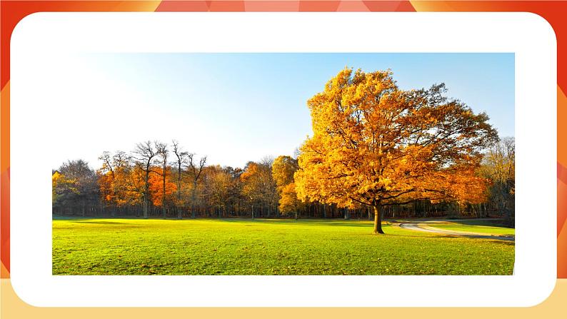 5《铺满金色巴掌的水泥道》第1课时 课件+教案+导学案设计02