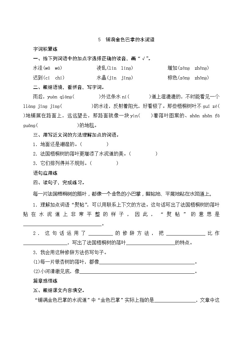 5《铺满金色巴掌的水泥道》第2课时 课件+教案+导学案设计+课时测评01