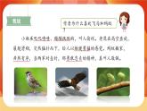 22《讀不完的大書》第2課時 課件+教案+課時測評